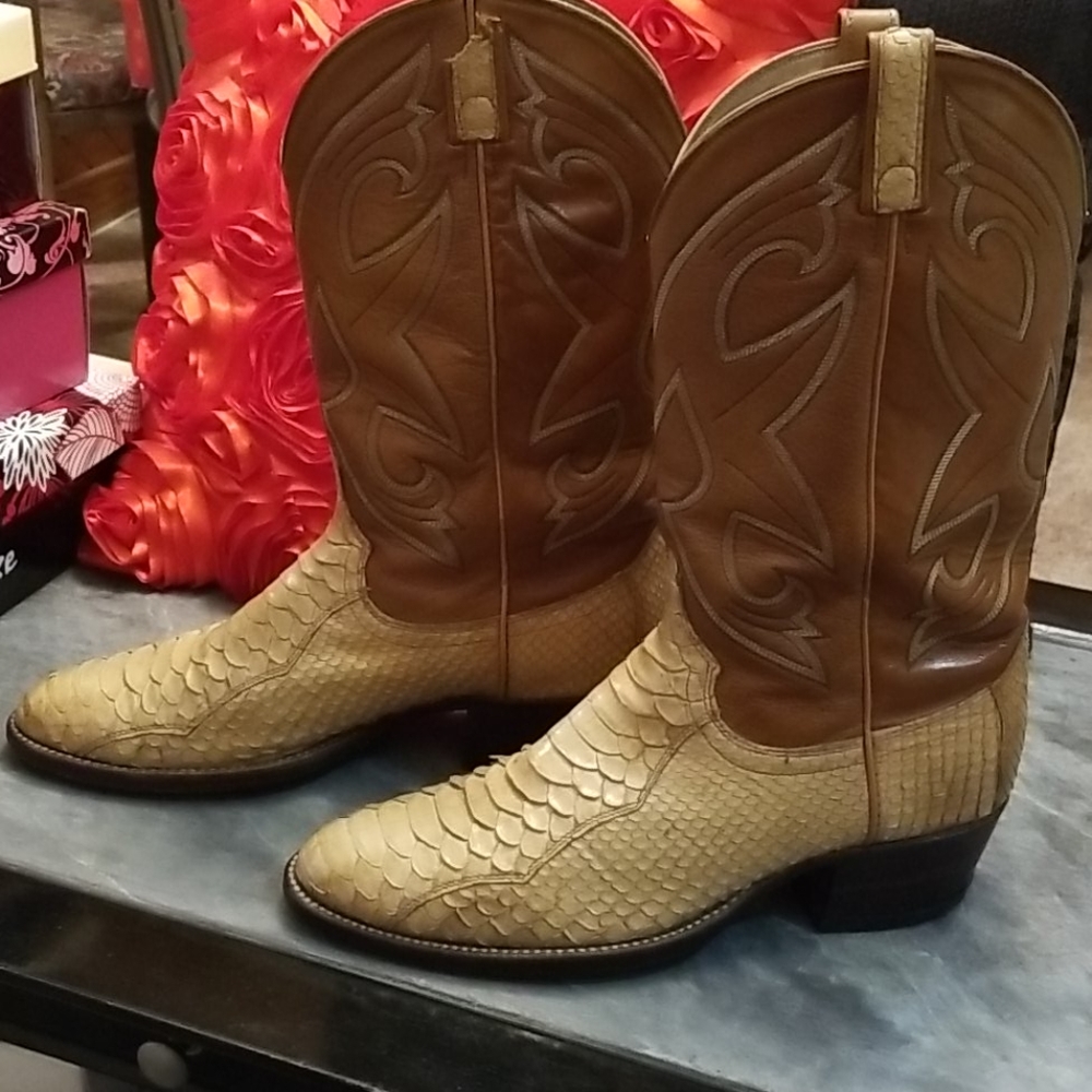 Dan Post Python - image 5